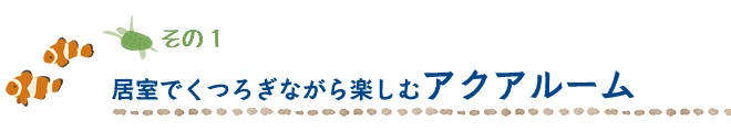 個室でくつろぎながら楽しむアクアルーム