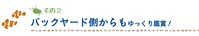 バックヤード側からもゆっくり鑑賞！