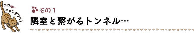 ココがニャンダフル！その１隣室と繋がるトンネル…