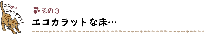 ココがニャンダフル！その３ エコカラットな床… 